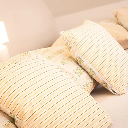 Apartmán U Svatého Petra